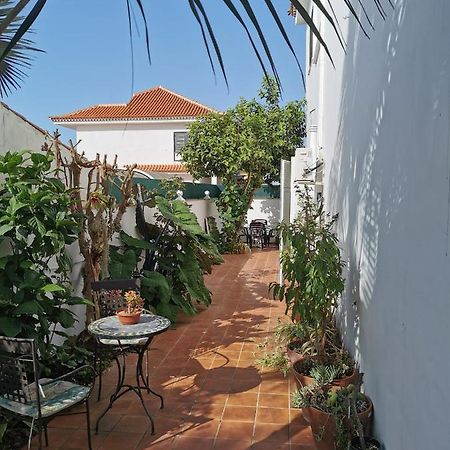 Jardin44 Daire Santa Úrsula Dış mekan fotoğraf
