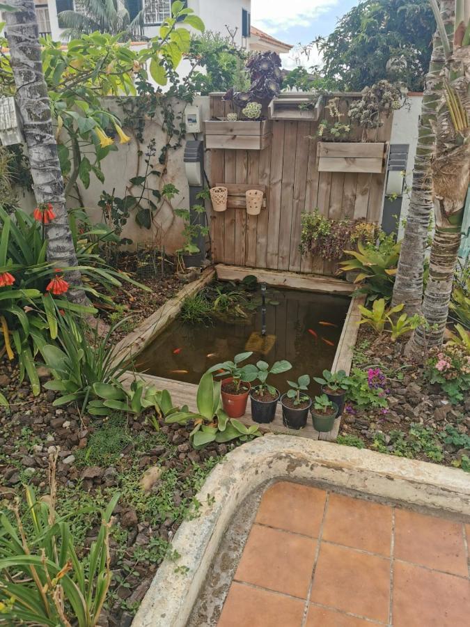 Jardin44 Daire Santa Úrsula Dış mekan fotoğraf