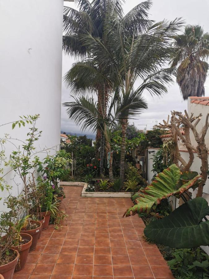 Jardin44 Daire Santa Úrsula Dış mekan fotoğraf